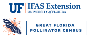 University of Florida Extension